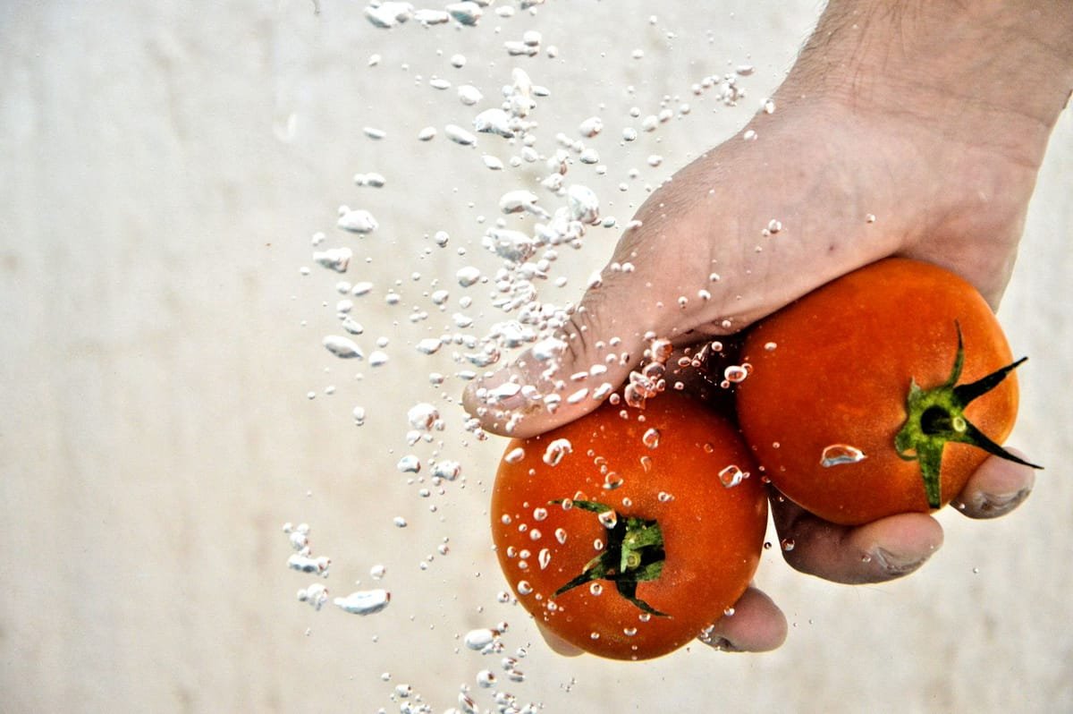 Mãos lavando tomates sob água corrente, com gotas de água espirrando
