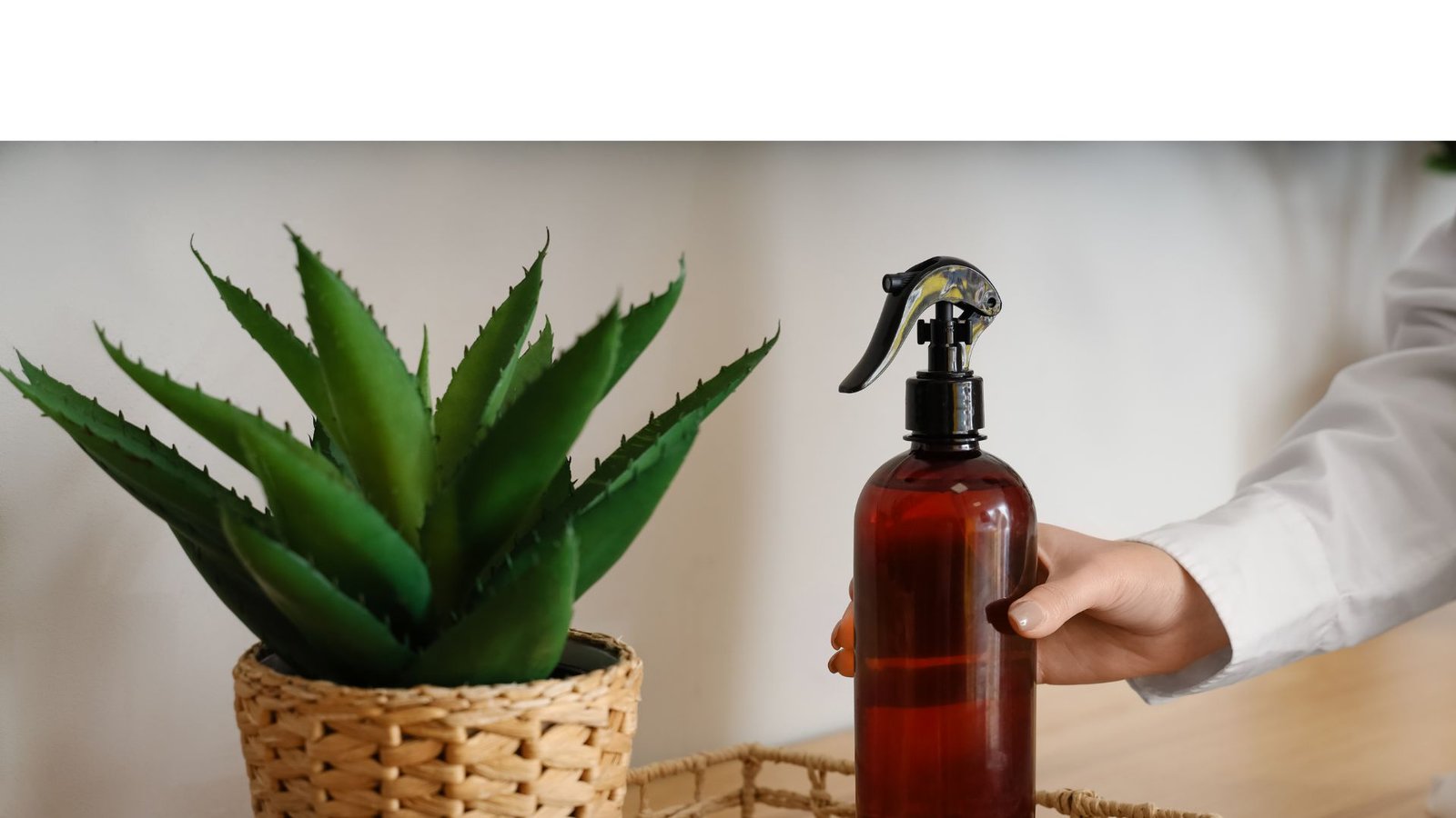 Produtos para neutralização e controle de odores