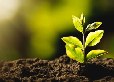 Sustentabilidade na Alpha Service: Compromisso com um Futuro Verde!